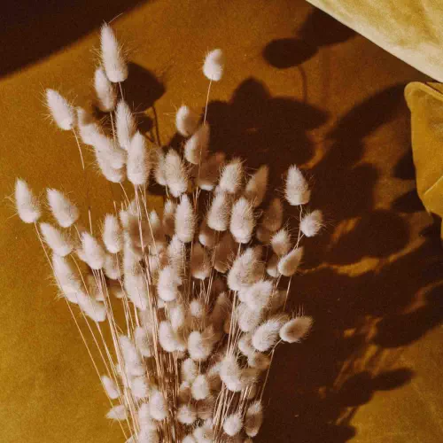 Livraison de fleurs séchées en france