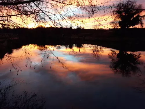 Eco-lodges en Charente-Maritime