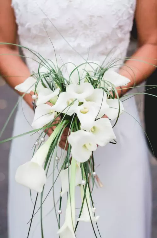 Photographe Bordeaux