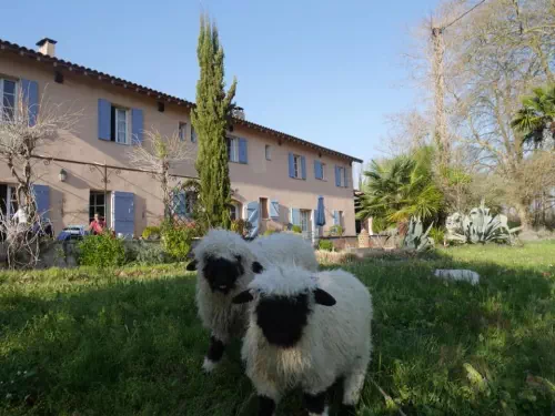 Centre agro-environnemental ariégeois