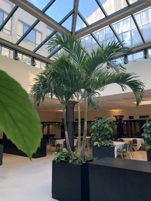 Mercure Bordeaux Château Chartrons