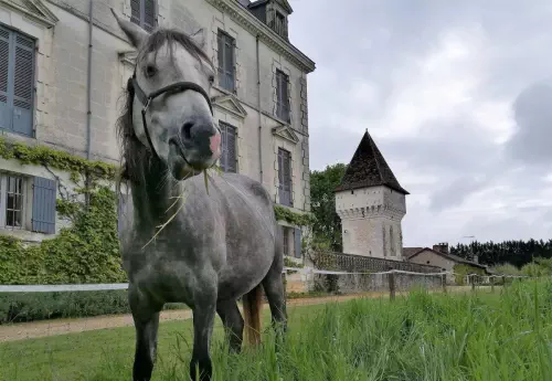 Château et ses jardins en Dordogne