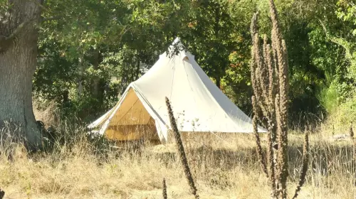 L'éco-lieu bucolique et insolite près de Nantes