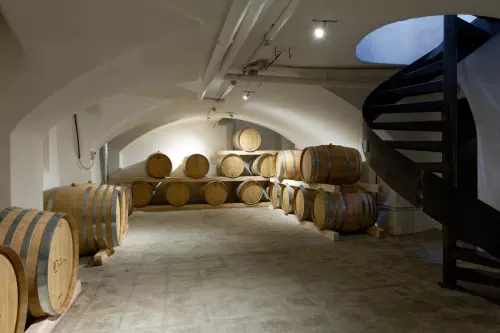 Chai de vinification à Lyon