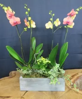 Fleuriste créatif et solidaire