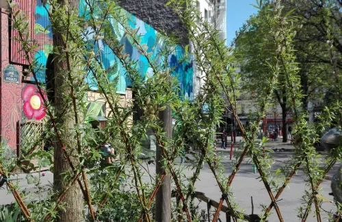 Animations sur la végétalisation de rue