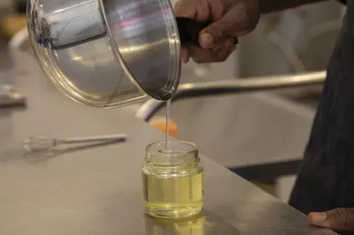 Ateliers de découverte de la nature en Gironde