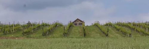 Cabane réceptive près de Limoges