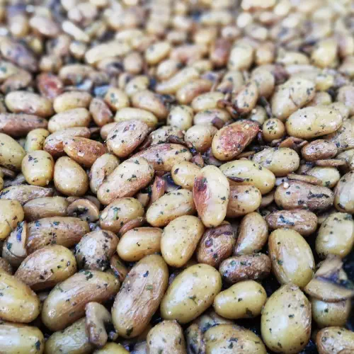 Rôtisseur champêtre