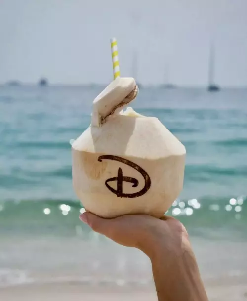 Animation culinaire écoresponsable Côte d'Azur événement corporate