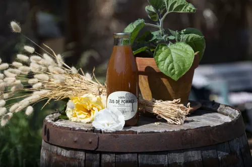 Ateliers d'initiation à la permaculture en Seine-Maritime