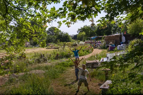 Ateliers d'initiation à la permaculture en Seine-Maritime