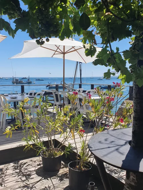 Les huîtres du Cap Ferret