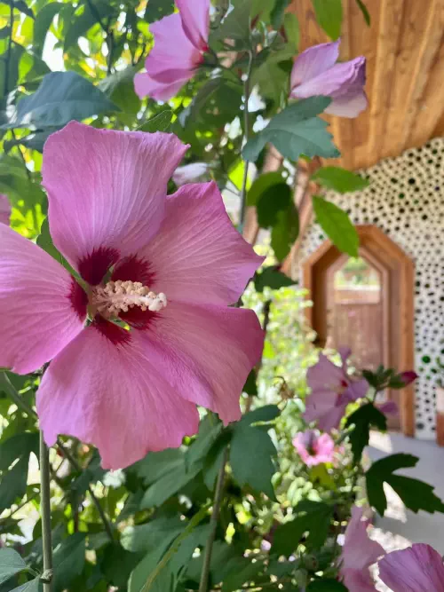 Visite d'une maison 100% autonome en Dordogne