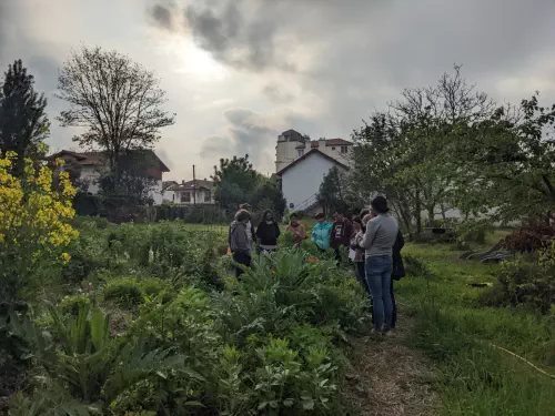 Atelier permaculture & biodiversité à Biarritz