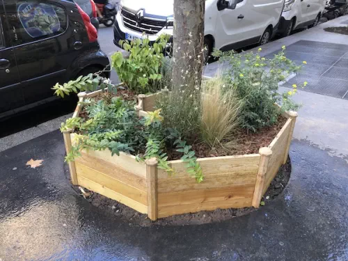 Animations sur la végétalisation de rue