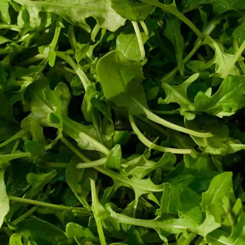 Traiteur barbecue à Lyon