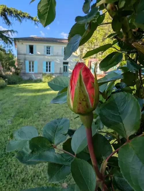 Lieu séminaire régénératif Haute Gironde