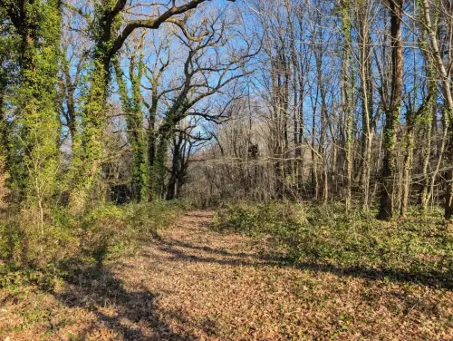 Lieu séminaire régénératif Haute Gironde