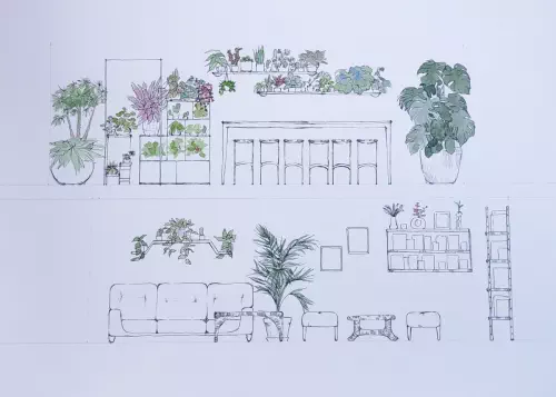 Location de plantes en Bourgogne