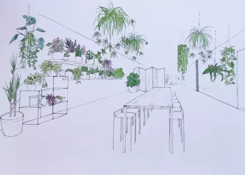 Location de plantes en Bourgogne