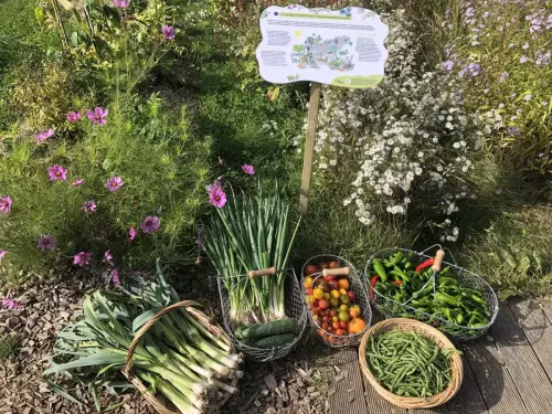 Ferme aux portes de la ville de Paris