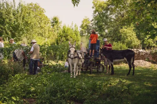 Brasserie Winterholer