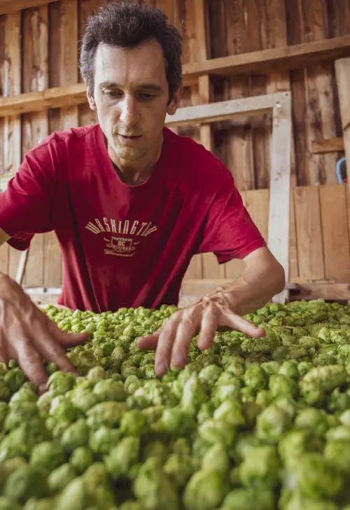 Brasserie Winterholer