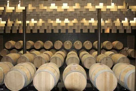 Domaine viticole agro-écologique