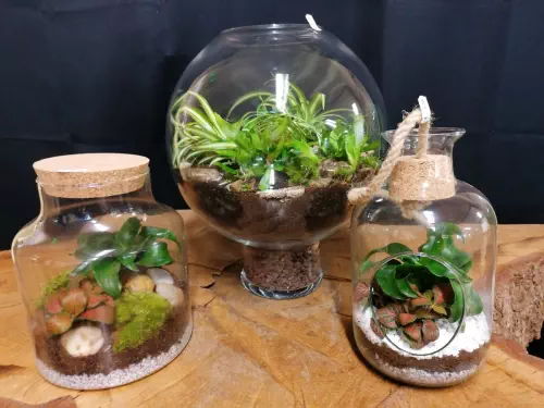 Fleuriste créatif et solidaire