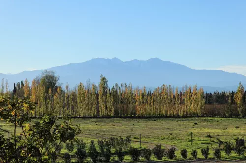 Charmant domaine au sud de Perpignan