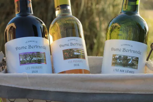 Domaine entre Marmande et Bergerac