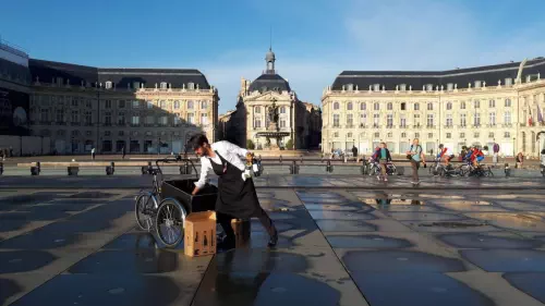 Cave à vins bio de Bordeaux