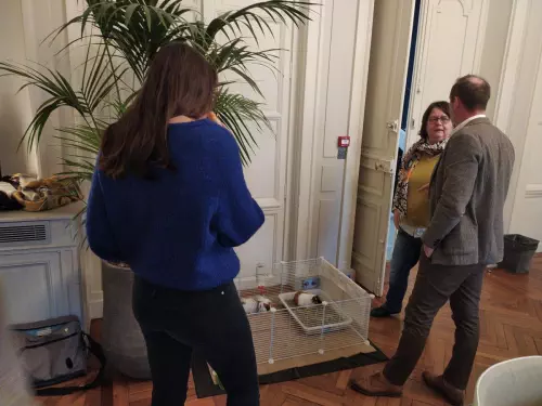 Conférences et ateliers autour de l'intelligence émotionnelle en Gironde