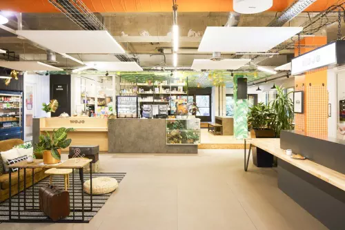 Coworking ambiance jungle et terrasse à Paris