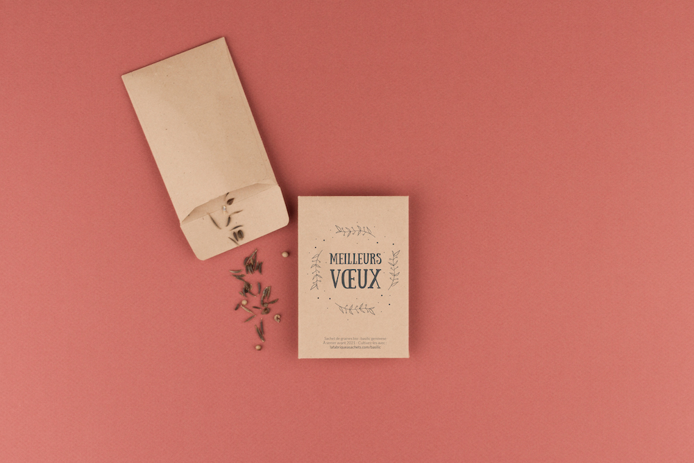 Modèle Meilleurs voeux.jpg