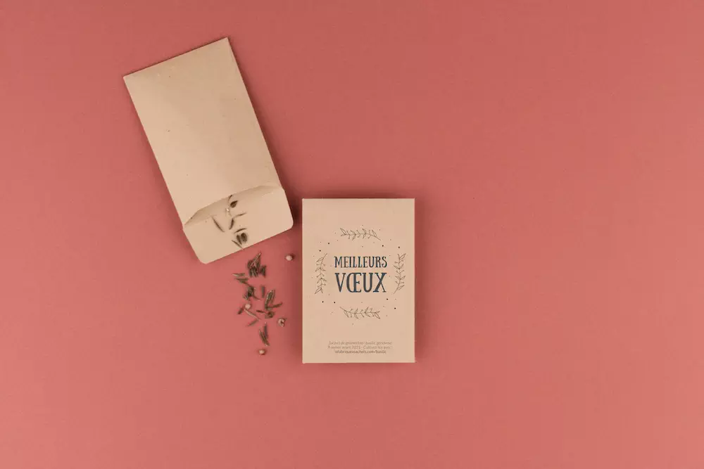 Modèle Meilleurs voeux.jpg