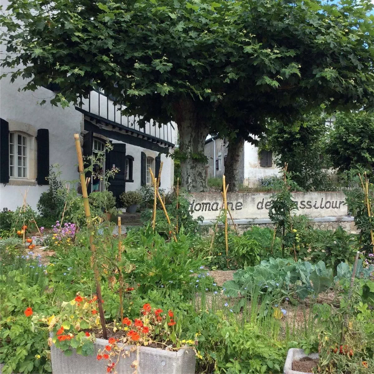 Potager du domaine