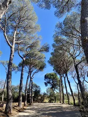 Parc
