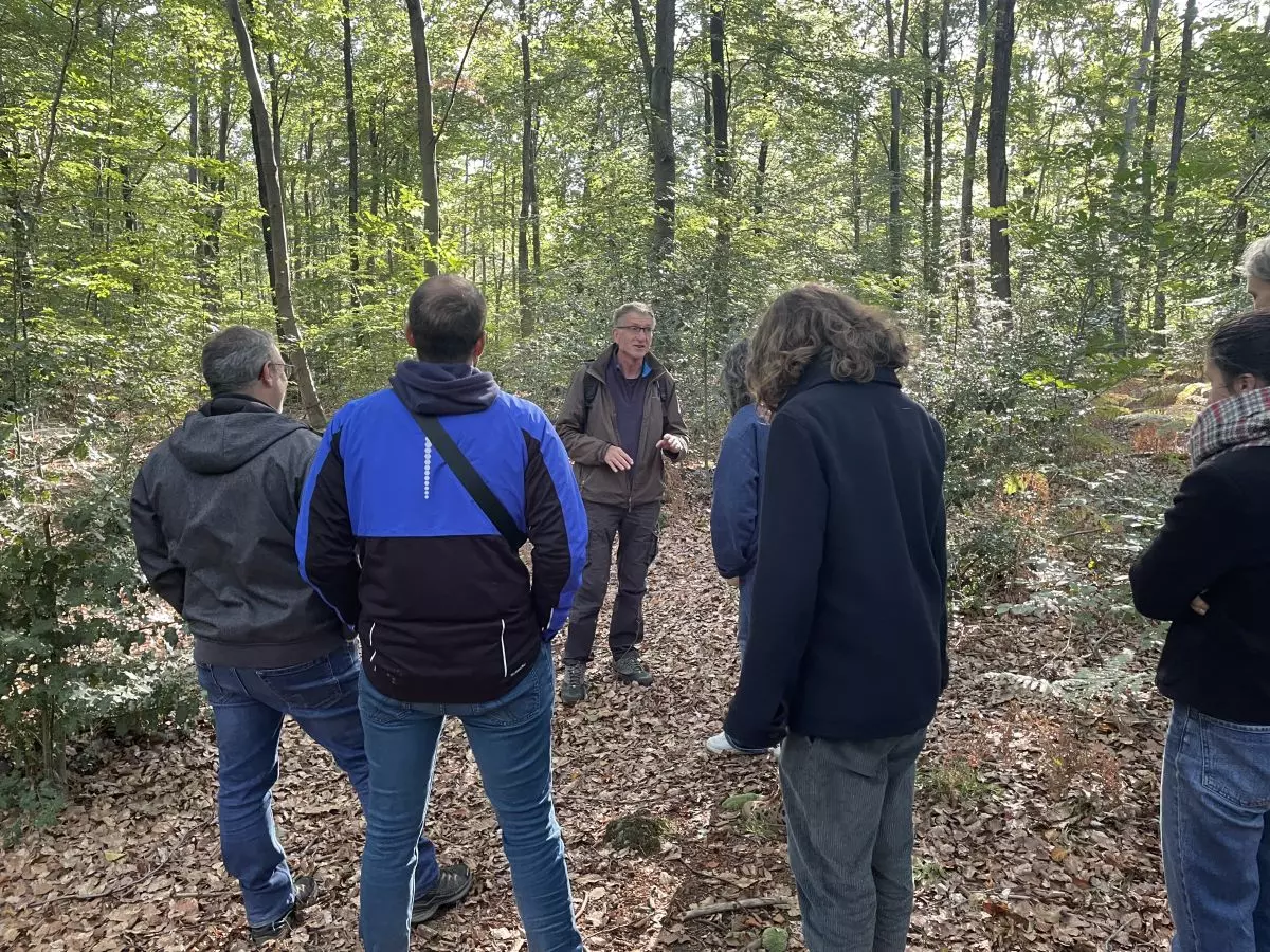 Balade dans la forêt avec un guide