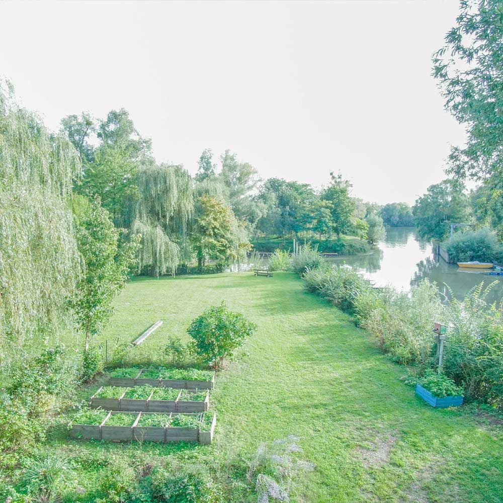 Jardin