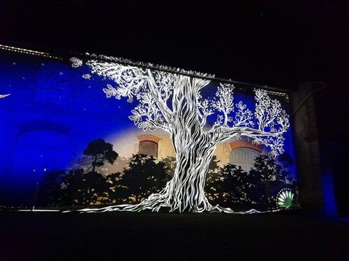 Projections lumineuses