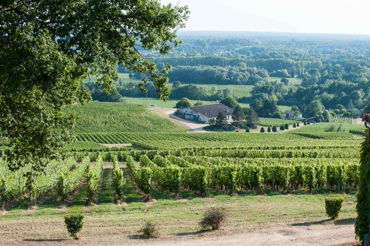 Vue depuis la terrasse