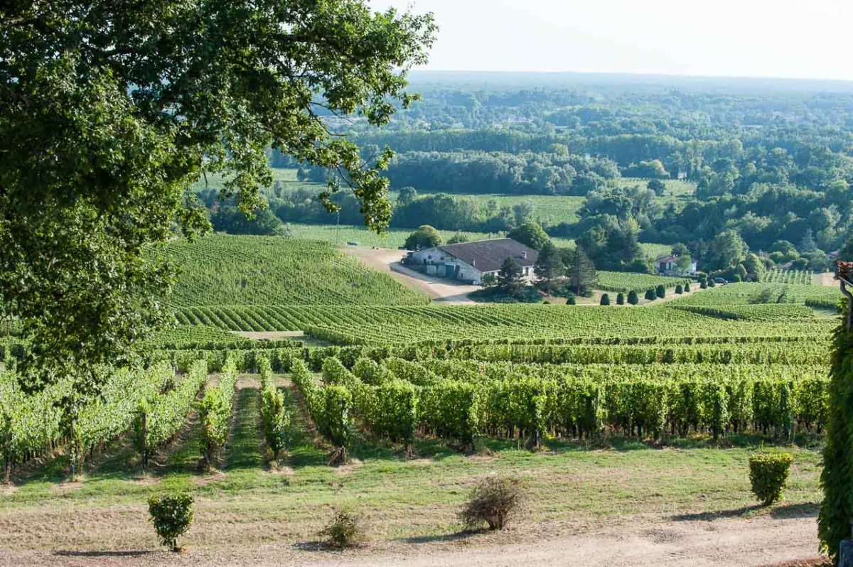 Vue depuis la terrasse