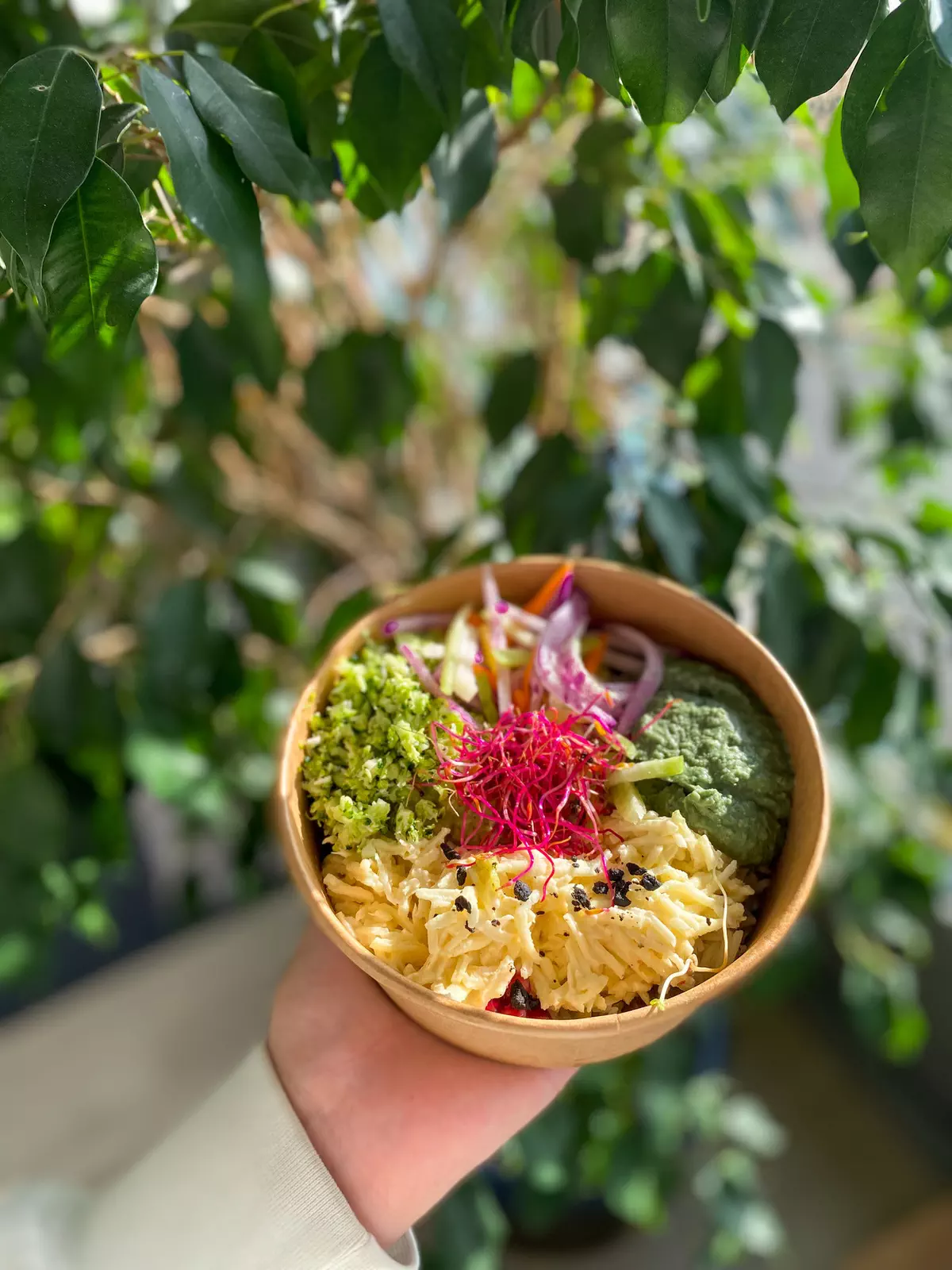 Magic bowl