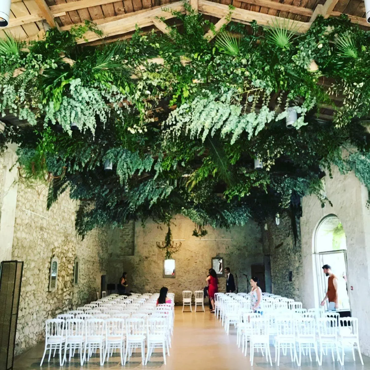 Plafond végétalisé