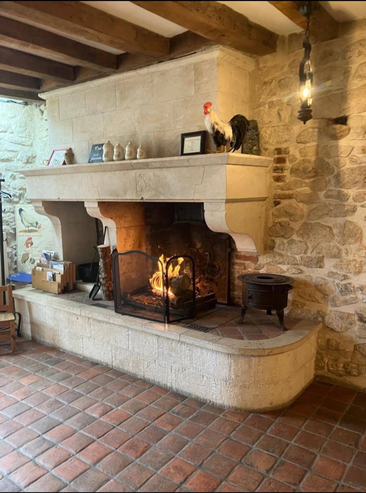 Salon de 45 m² avec cheminée