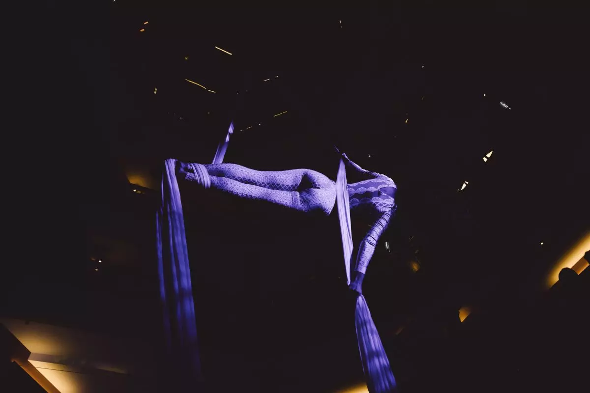 Show cabaret + show aérien