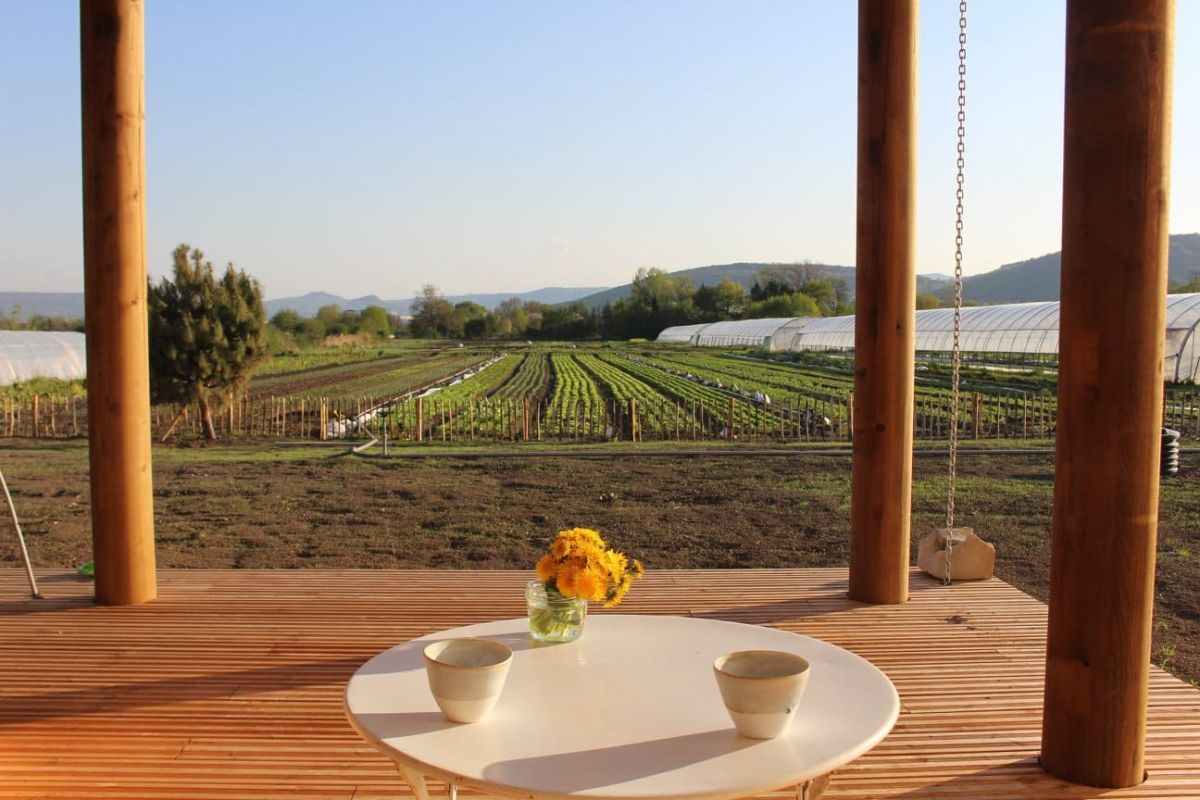 Restaurant Maraicher en agriculture bio