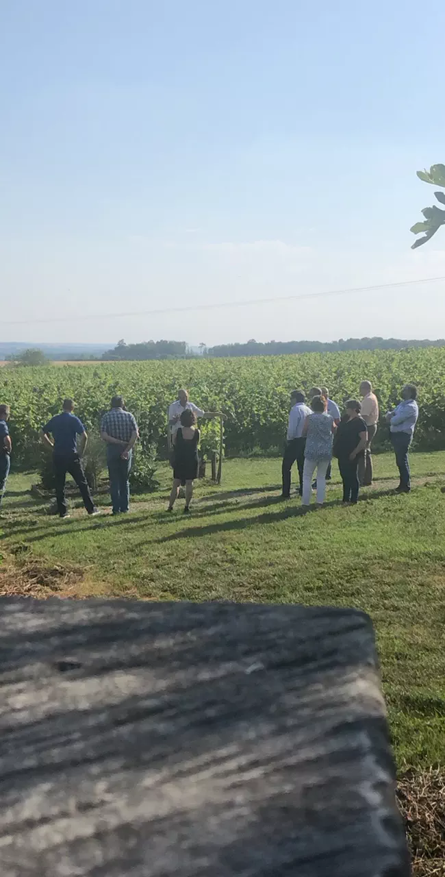 Visite guidée